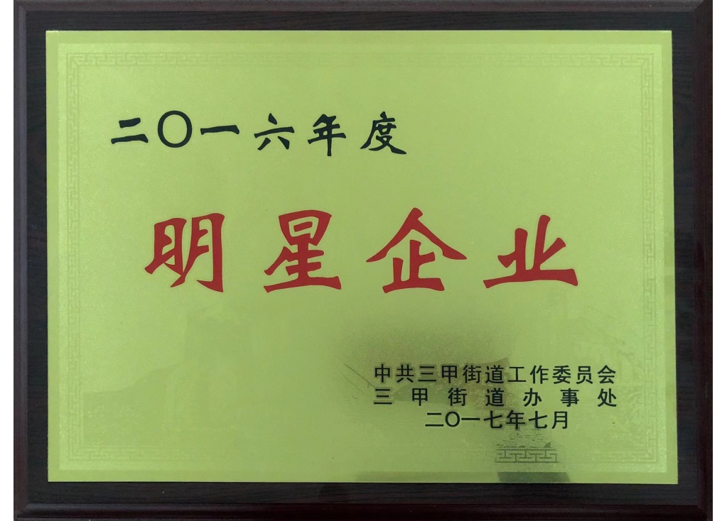 Chlono Awarded 2016 Annual Star Enterprise: A Leader in Electric Motors and Fans Industry